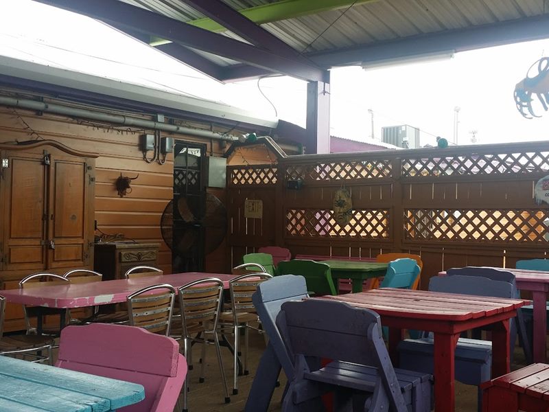 La Iguana interior