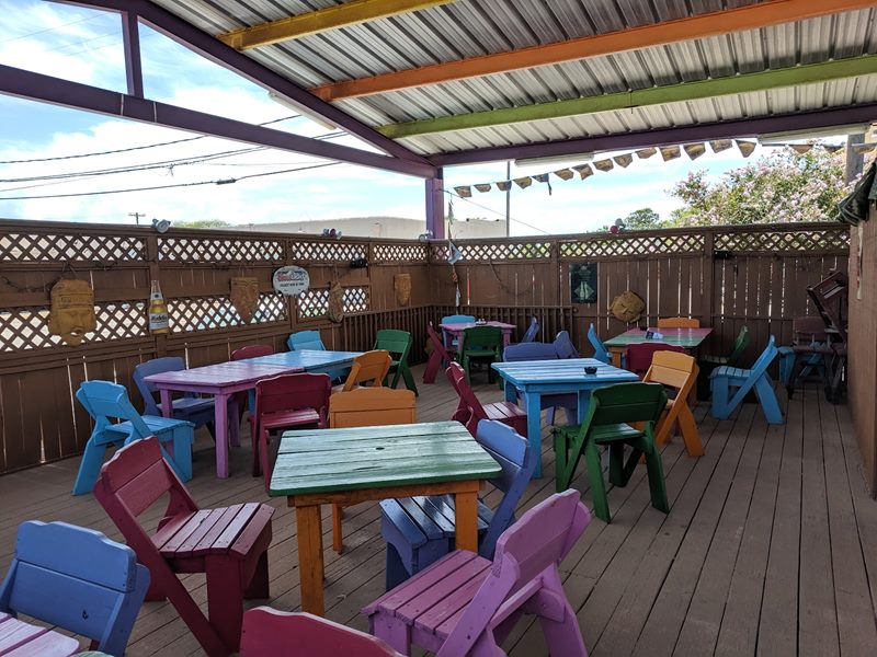 La Iguana interior